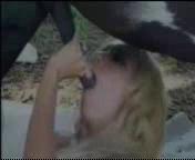 Animal Sex Cumshot1.3gp